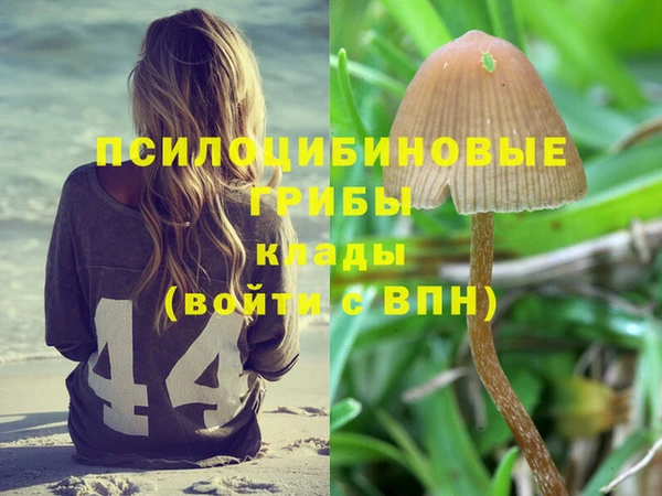 прущая мука Анива