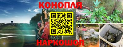гидра Бузулук