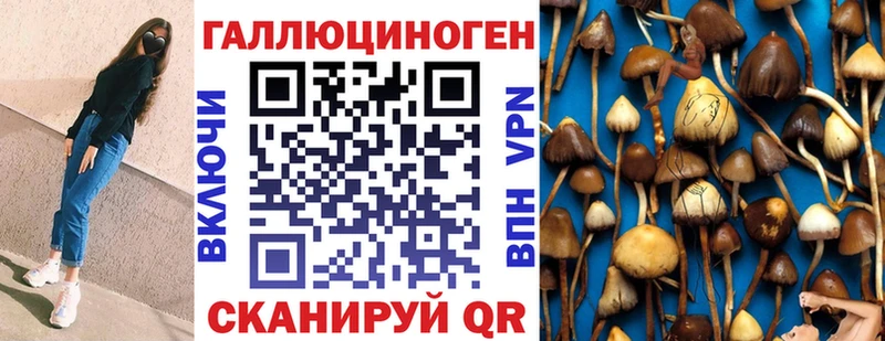 Галлюциногенные грибы Cubensis  где продают   Бирск 