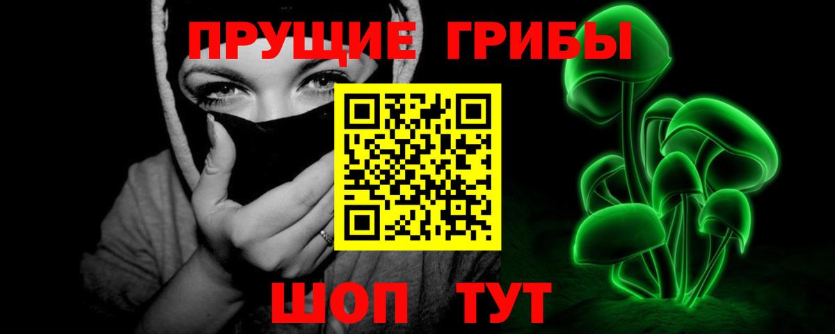 Псилоцибиновые грибы Psilocybine cubensis Бирск